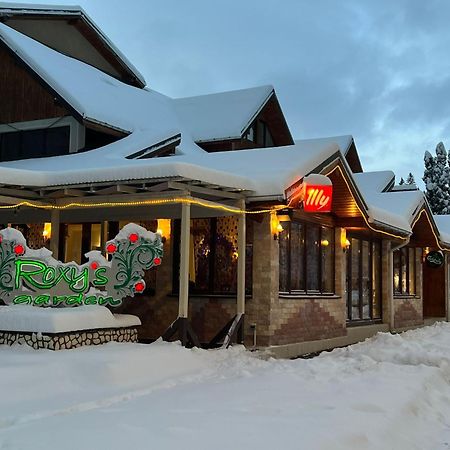 Vila Roxy โปยานาบราซอฟ ภายนอก รูปภาพ